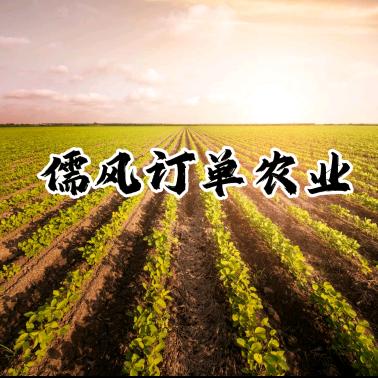 儒风订单农业