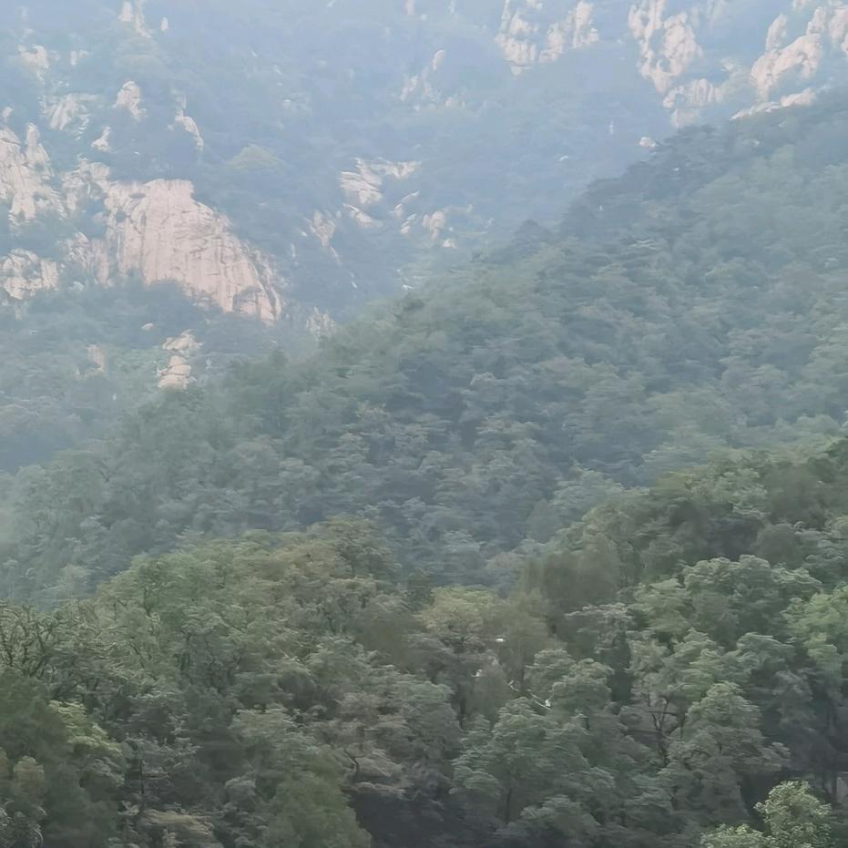 ....................