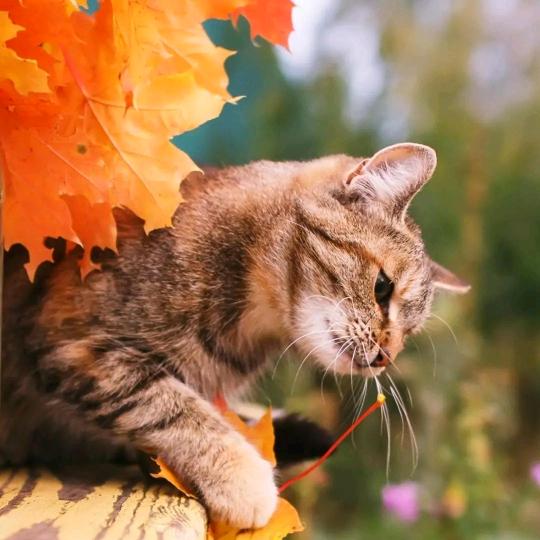 我们都会刷抖音