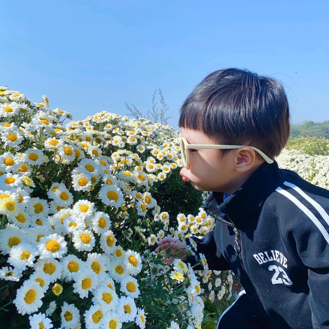 乐轩书屋