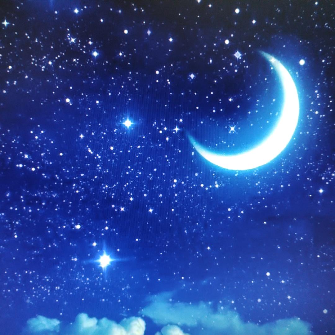 🌙残月✨