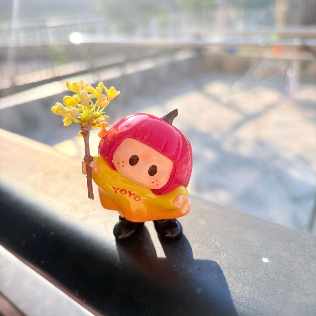 🌱上上签🌱