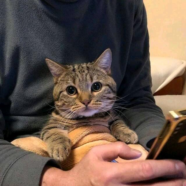 怀中有凶兆