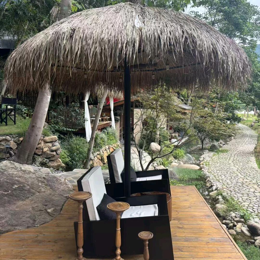 ( ㊖  果 果  ㊖ )