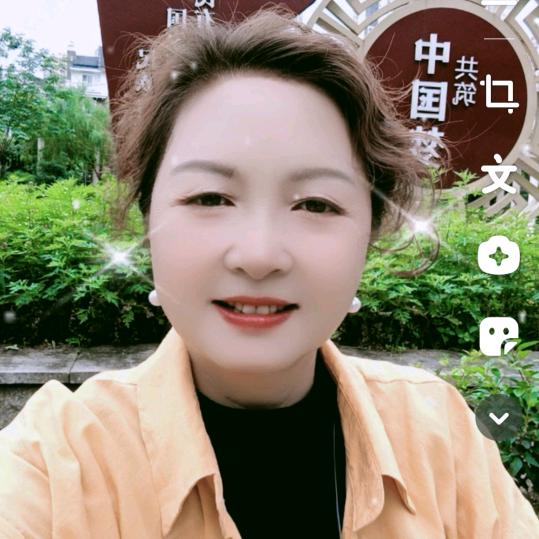 凤英姐
