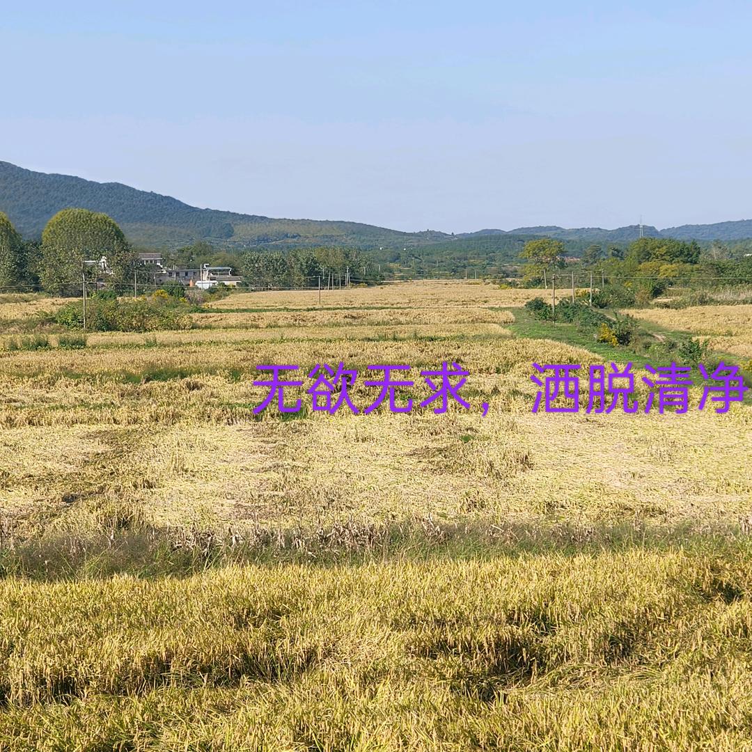 一套23