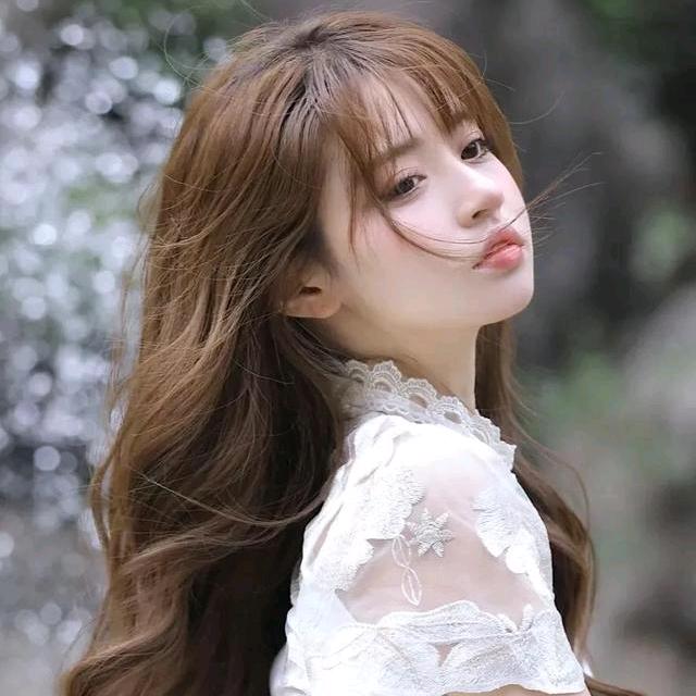 中集人事🍓沐沐