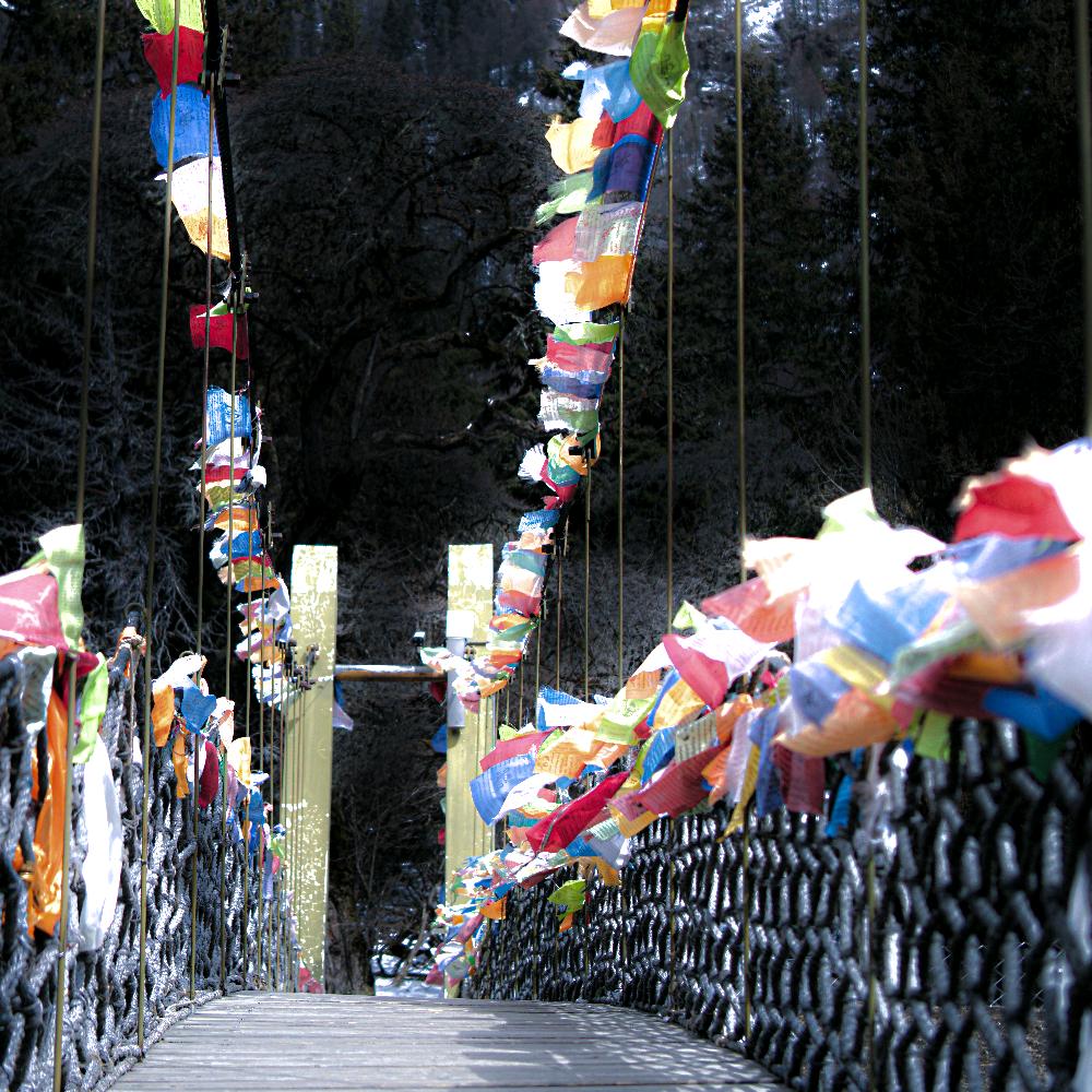 爱吃夹心小小饼干