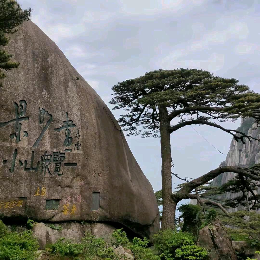 陈家大小姐