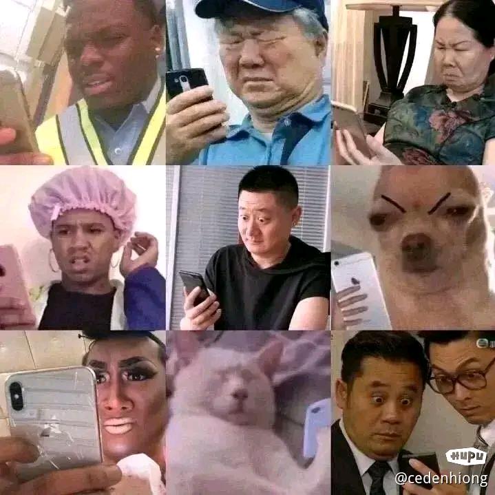 烤烤鱼看看星