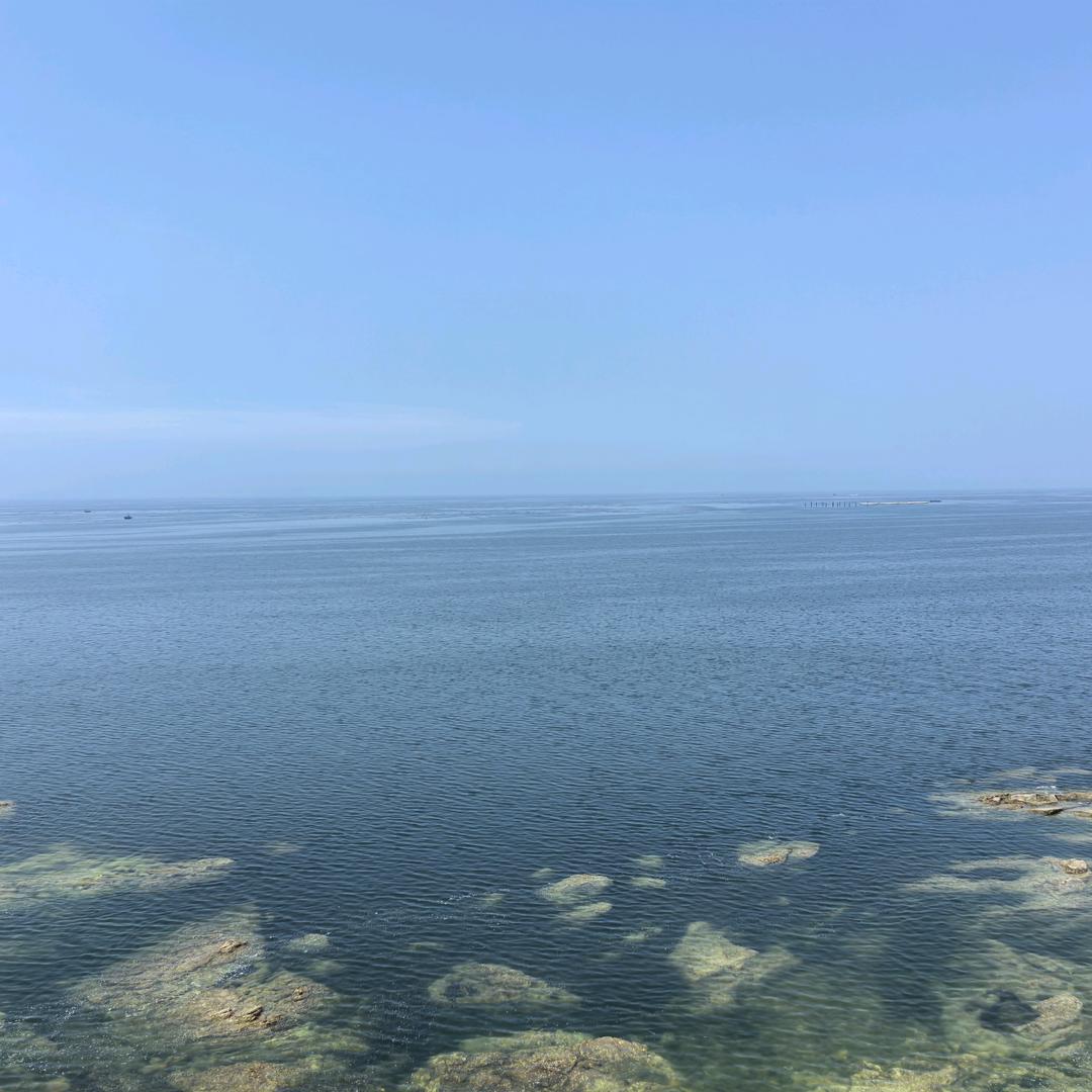 张不胖