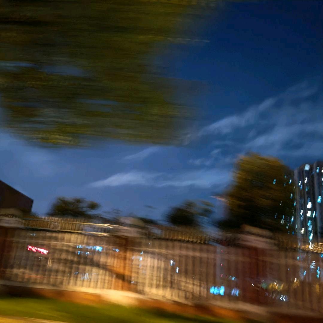 邪神飞鱼