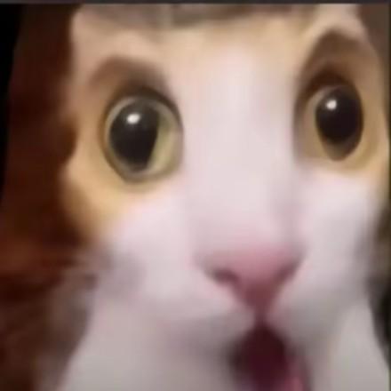 齐天大圣