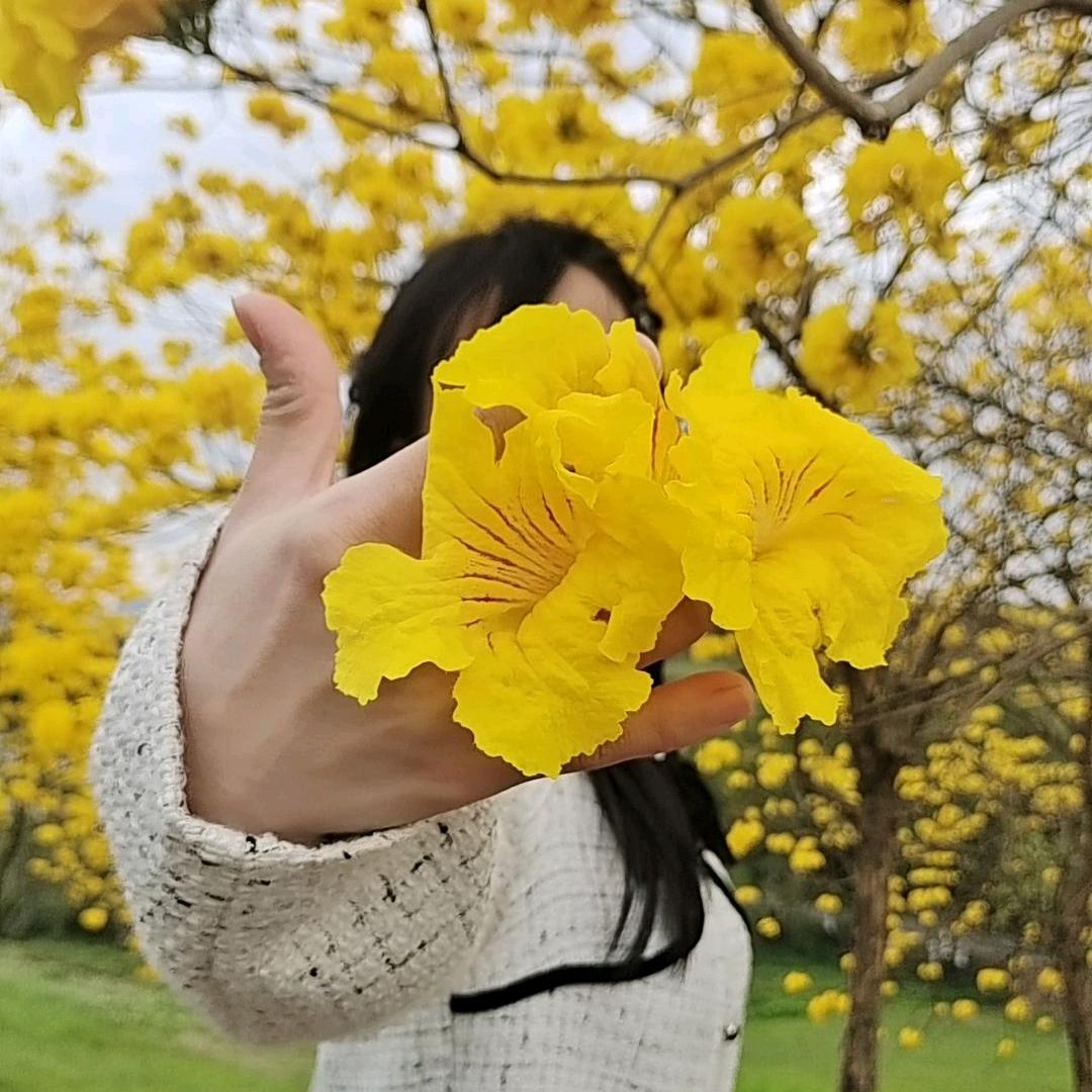 小板栗🌰