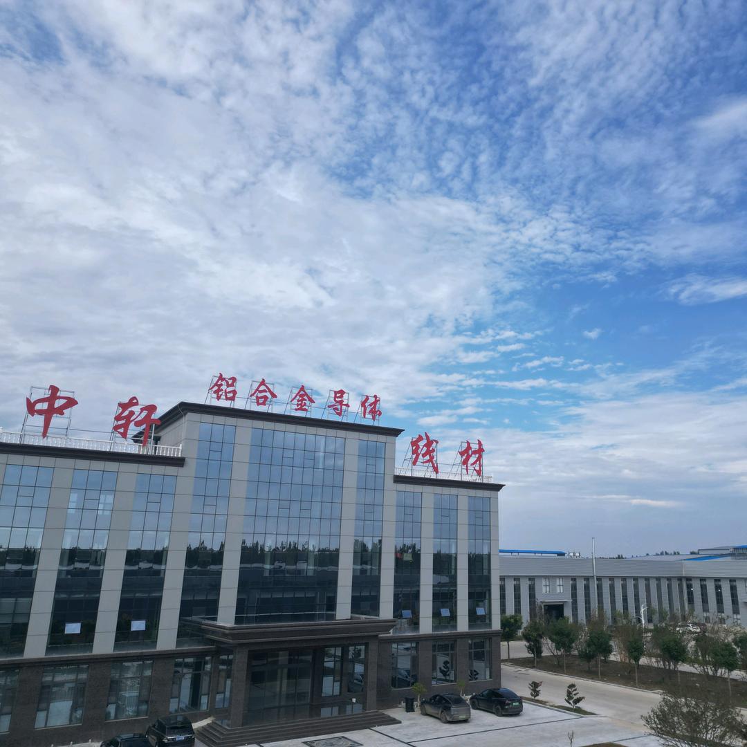 中轩铝合金导体-刘云朋