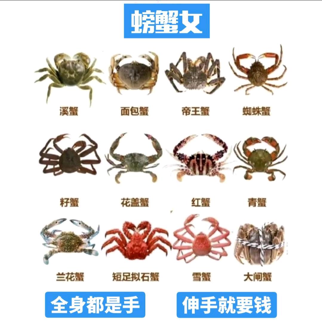 大冤种