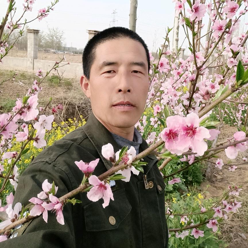 单身爸爸