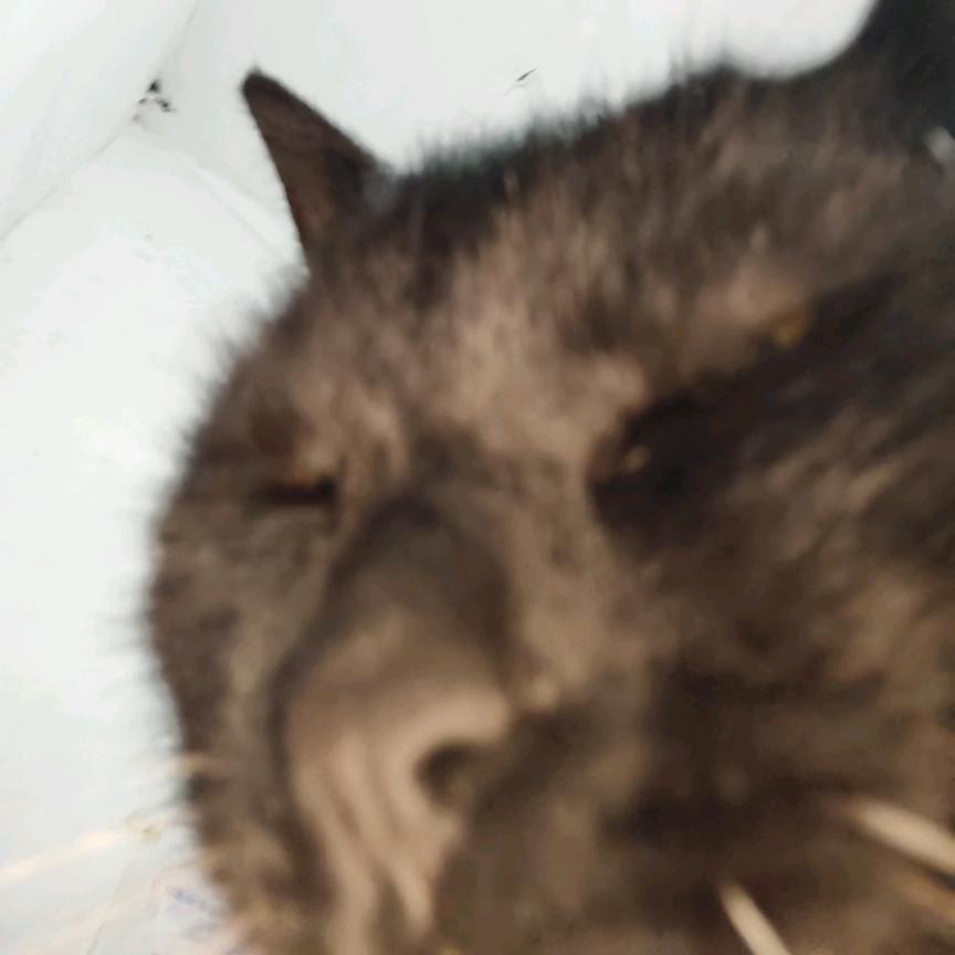 秋天的火锅