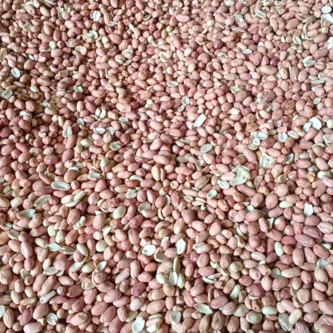 专收～小麦～花生～玉米～