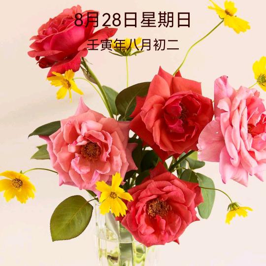 乐逍遥