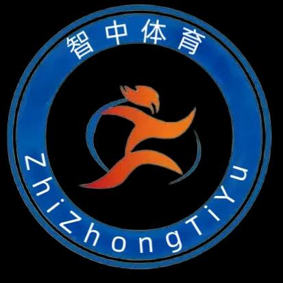 智中体育