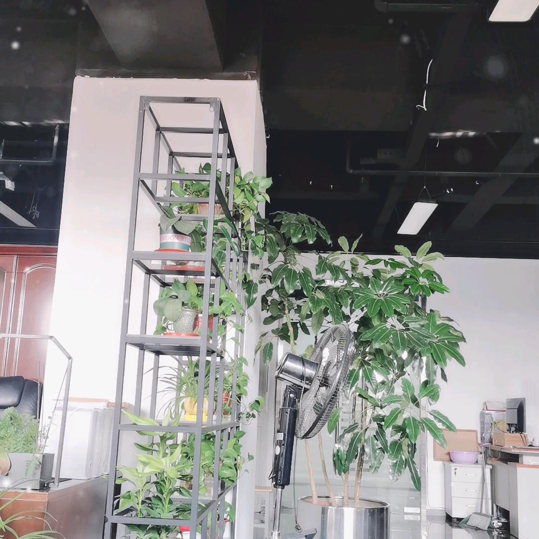 起来吃饭