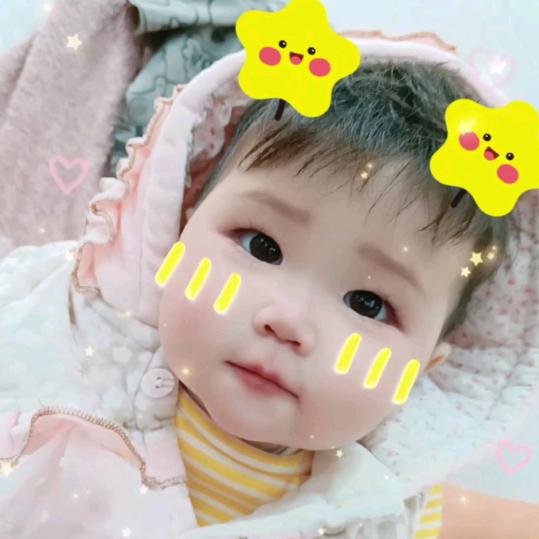 高队长づ🐬(高晞瑶)