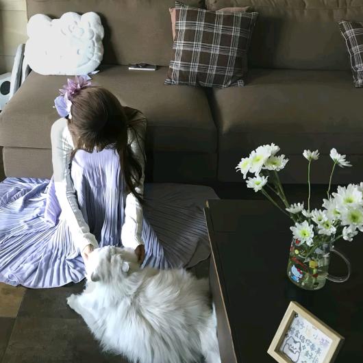 葱油拌面不吃葱