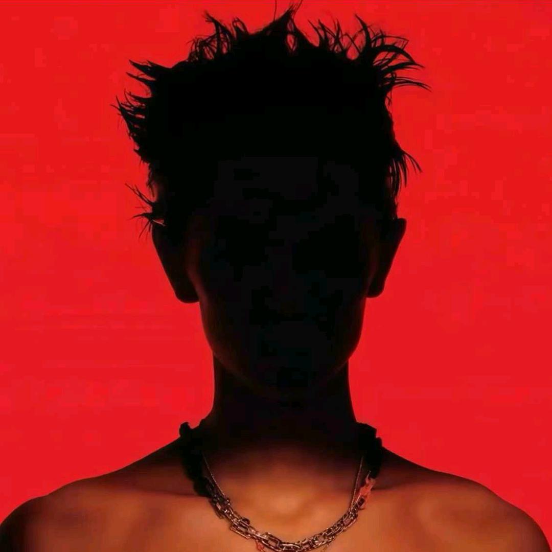 纯情虾虾火辣辣🦐