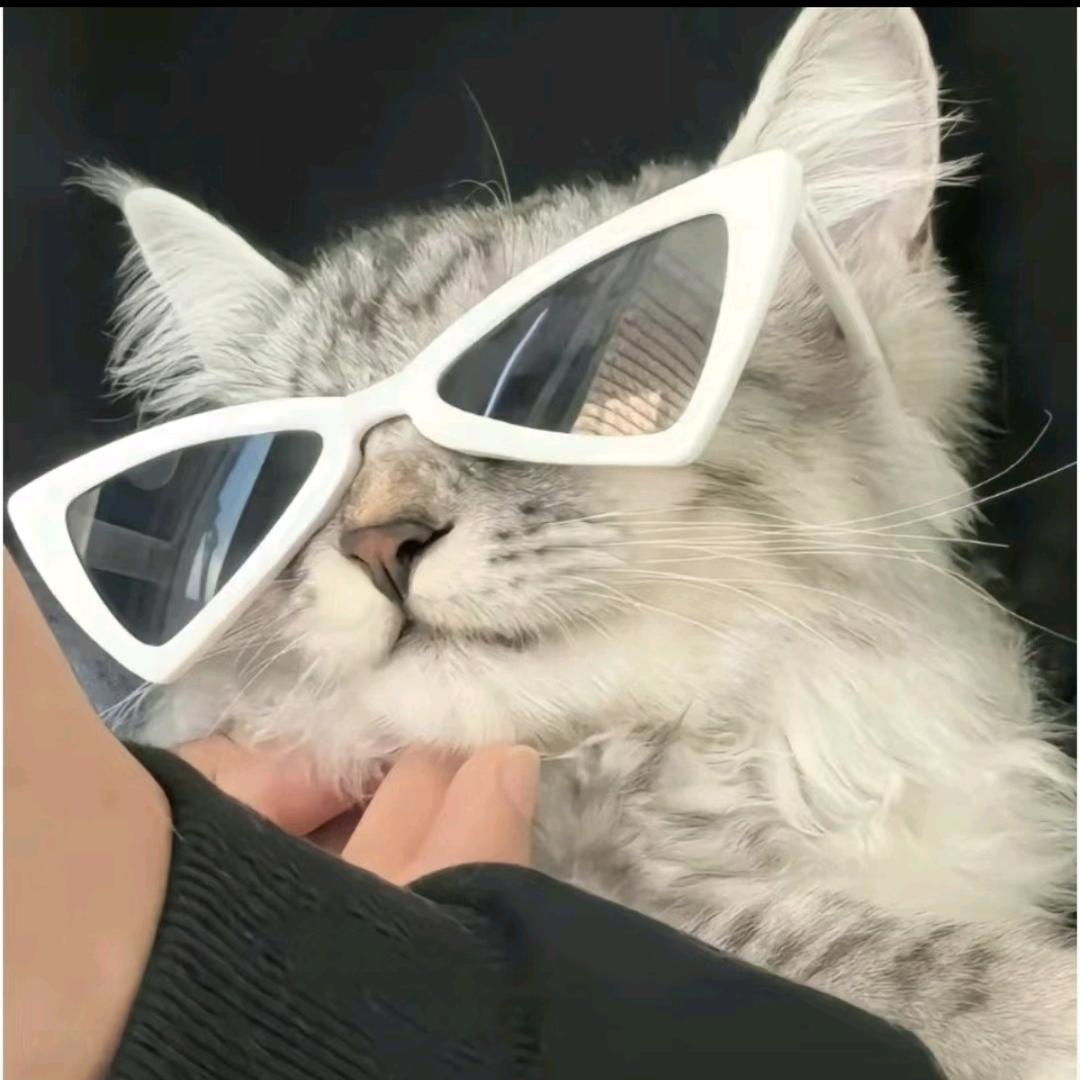 拽缩