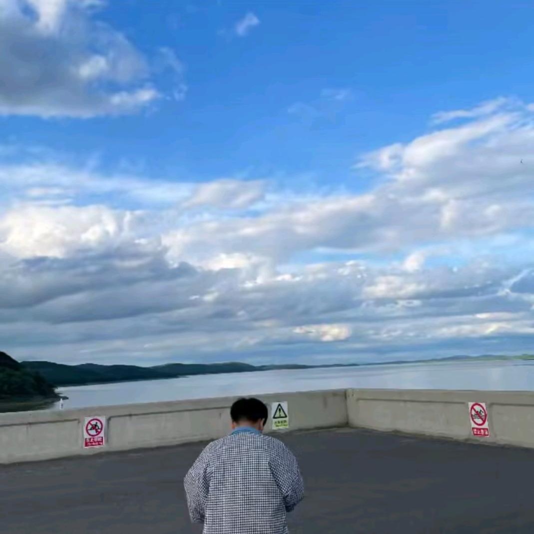 紫荆花