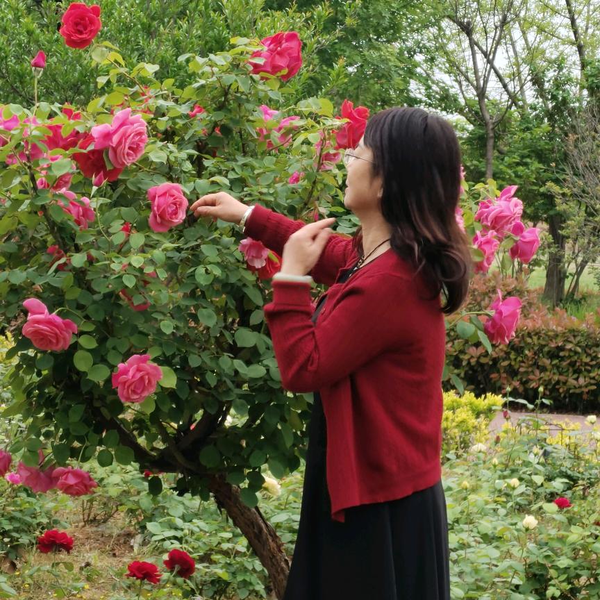 静听花开