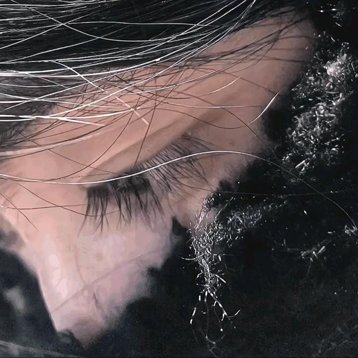 🍁 ⃢👁ܫ👁⃢ 🍁你是言澈