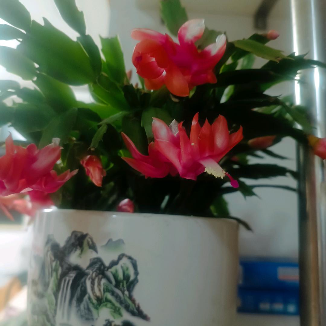 潘东明
