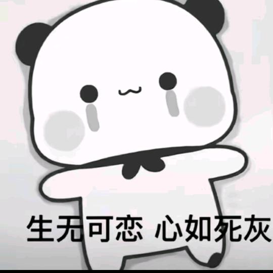 真的纯粹吗你