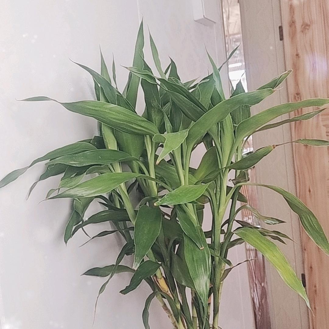 受伤的心，谁能医治