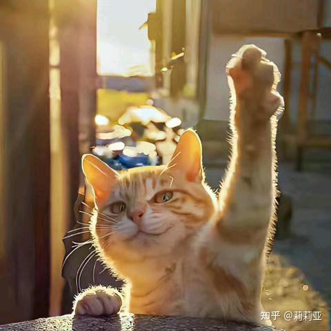 一身诗意千寻瀑