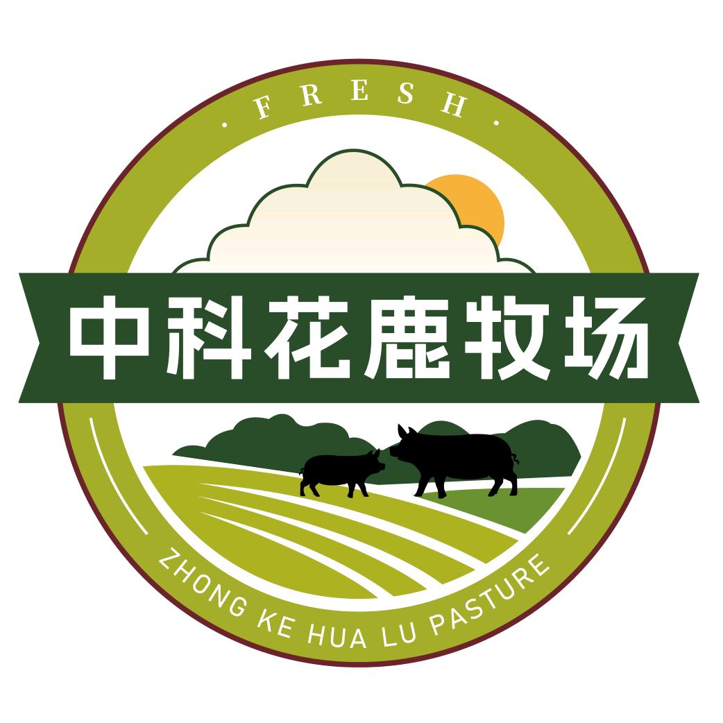陈家鹿王酒类旗舰店