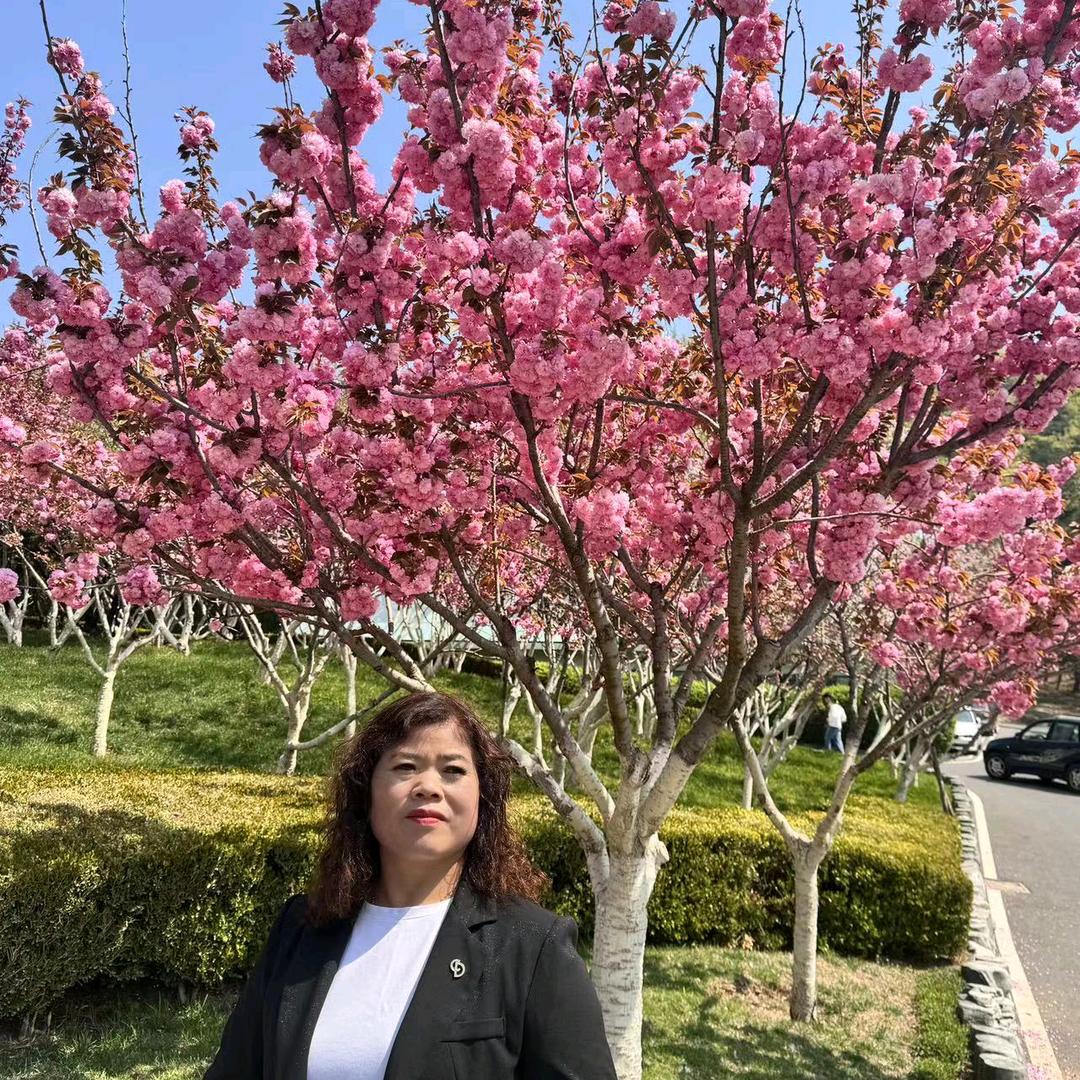 月亮上的垂耳兔！