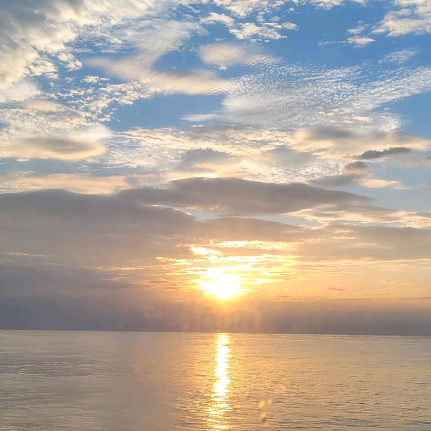 🍡夏唯(肉圓)🤍ᴰ