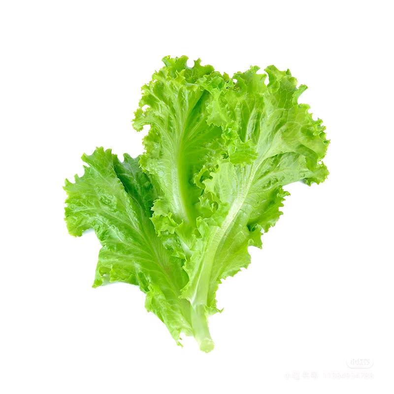 一把生菜