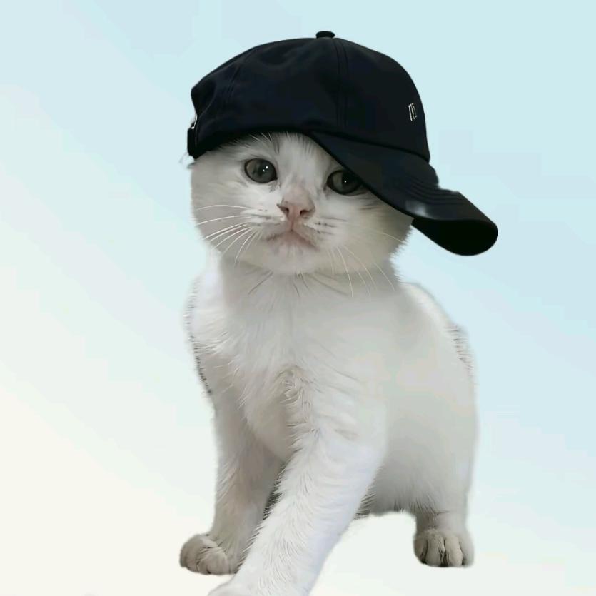 Only  care