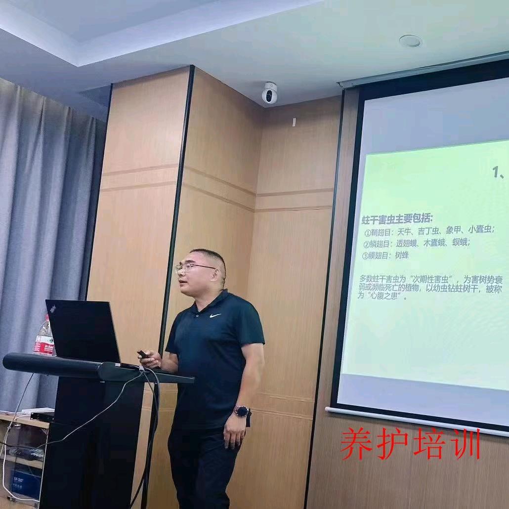 雅茵园林服务有位花匠