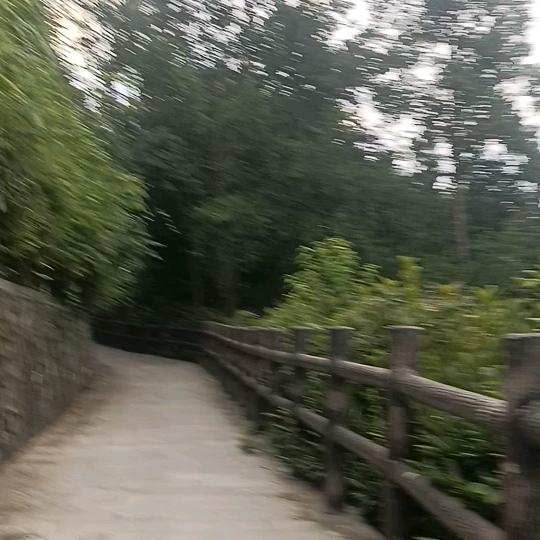 修心养性