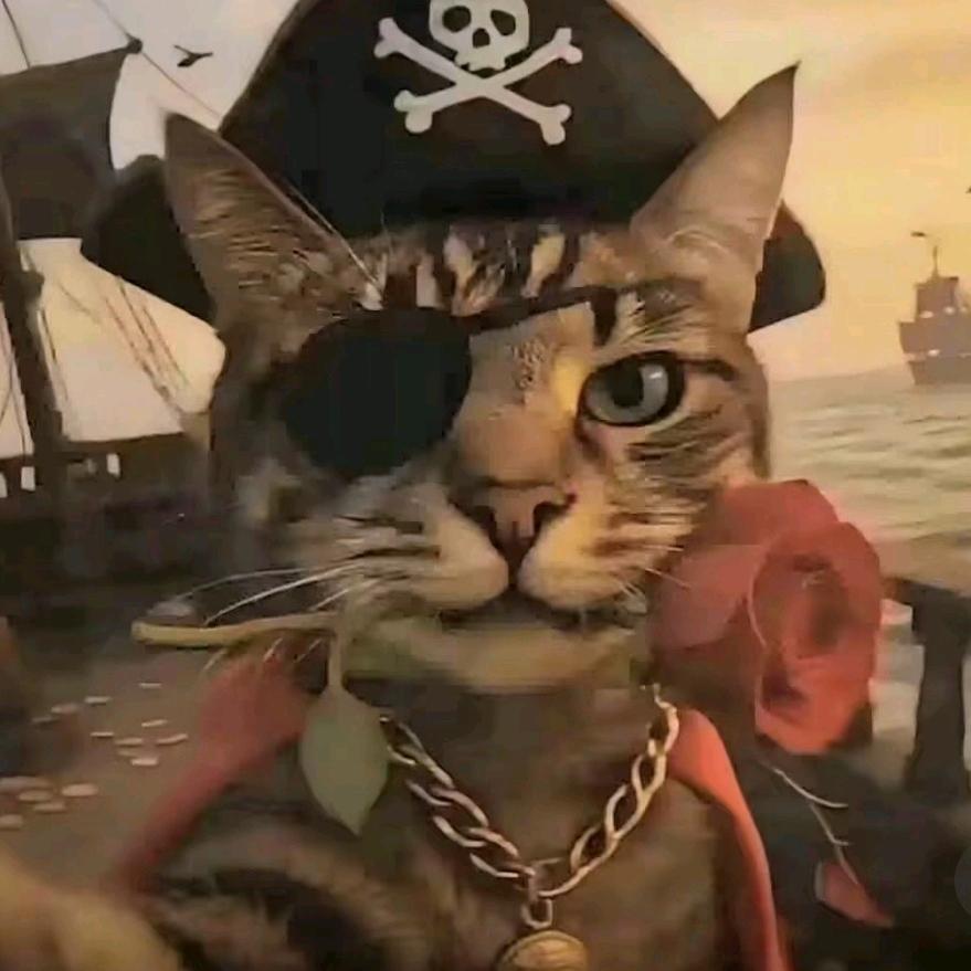 加菲猫♥