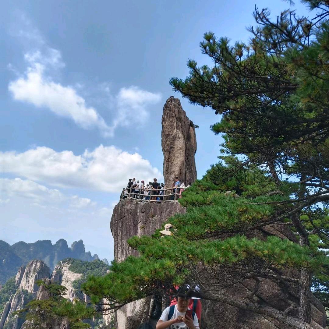 风中羽翼