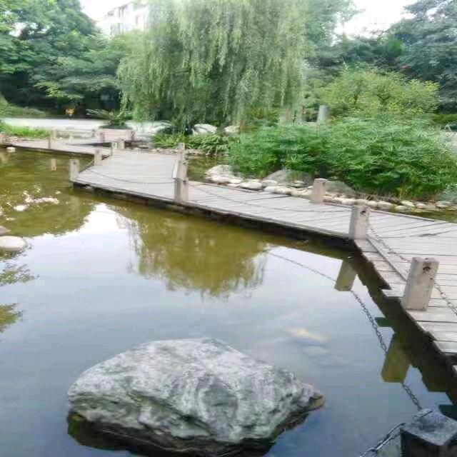 ☞    呆子   ☜