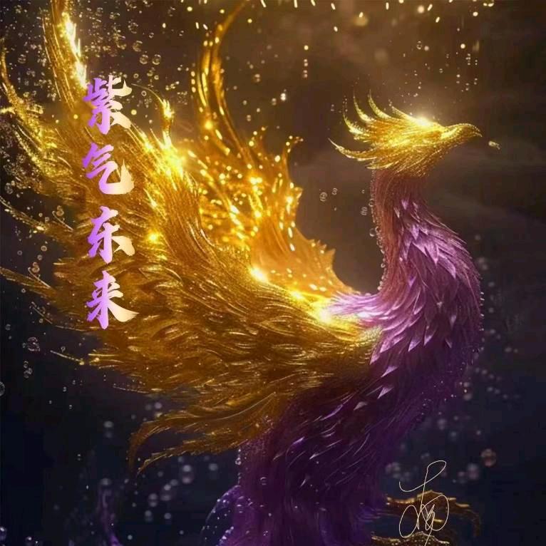 美