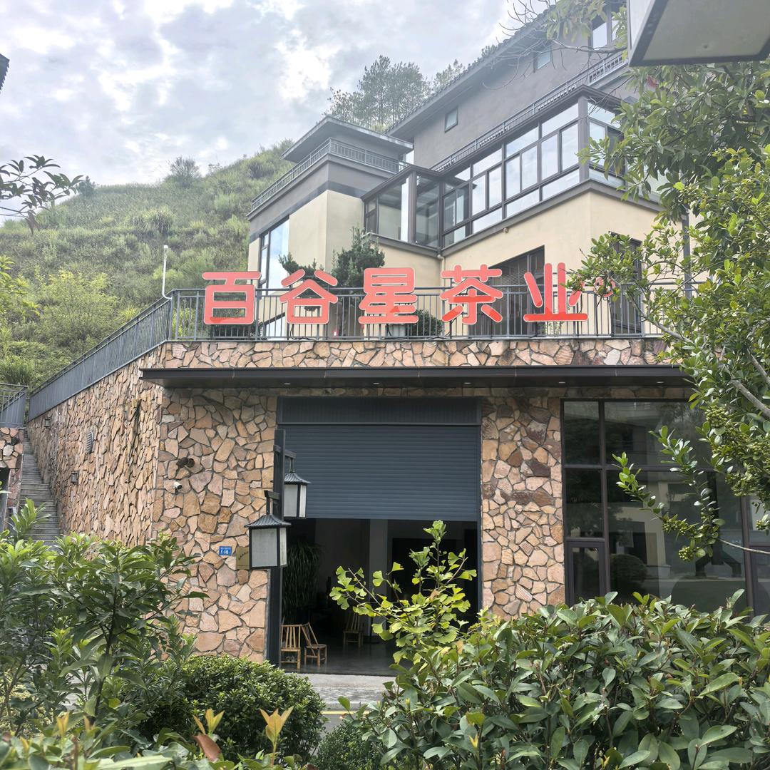 天心村•百谷星茶叶