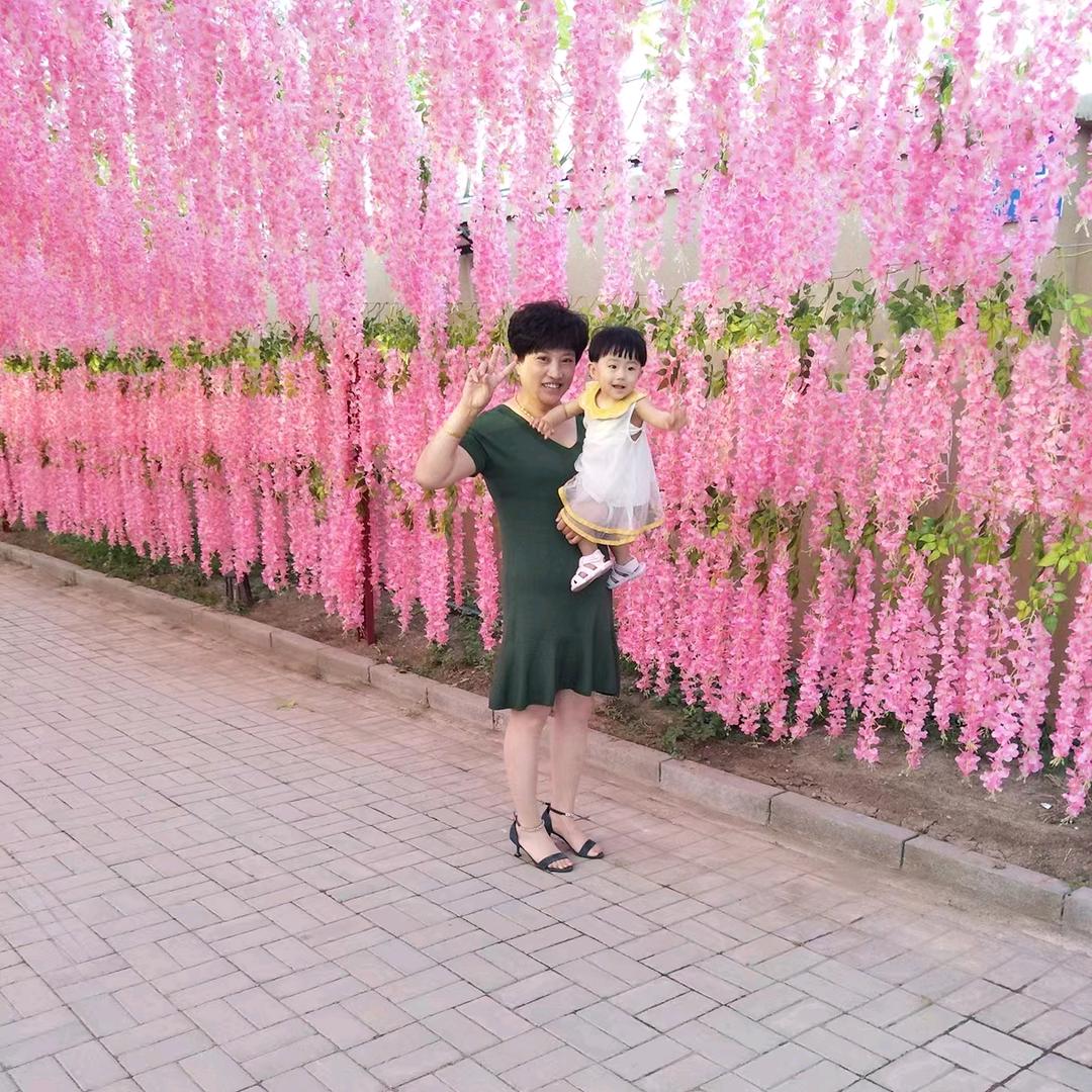 可心儿